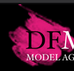 www.dfmodels.eu